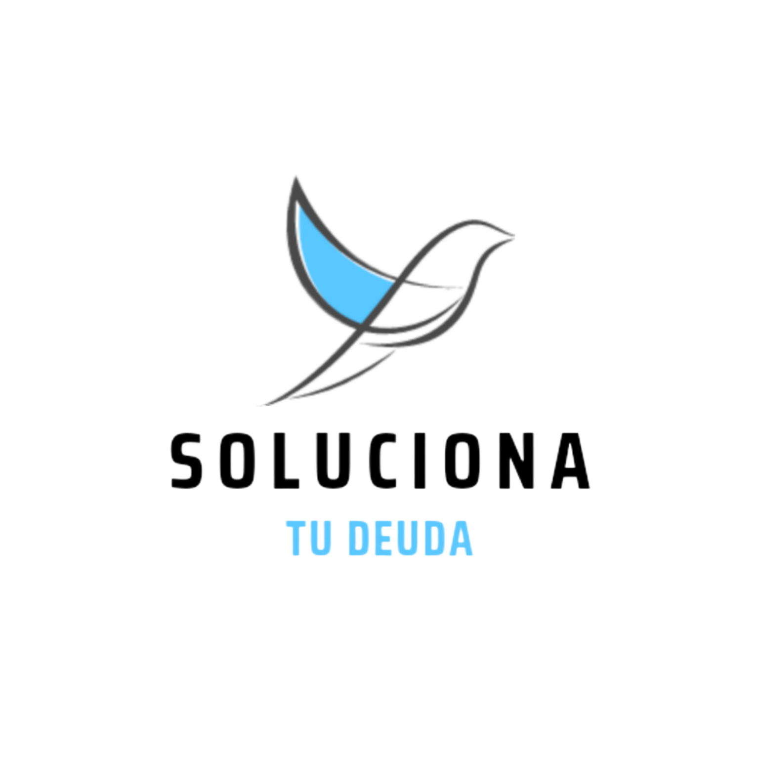 Soluciona tu Deuda
